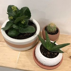 Meet your Posher, Ari